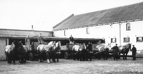 Vognmand Johs. Lauridsens heste og vogne i gården Nørrevold 11.